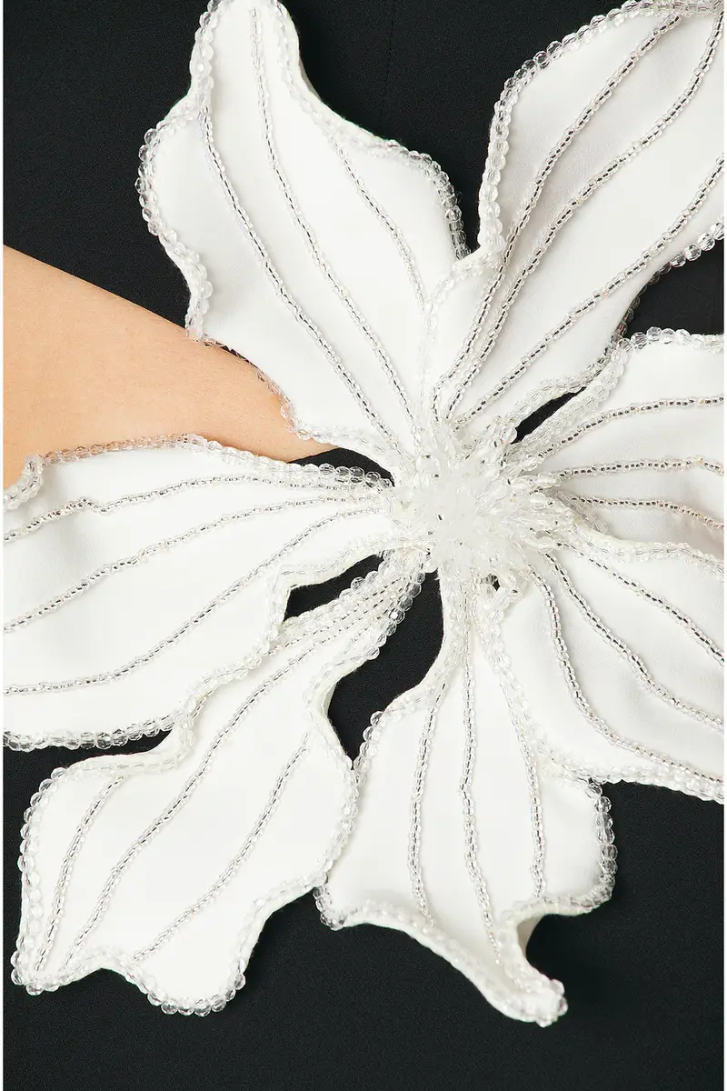 PatBo Flower Applique Midi Dress | Thumbnail 5 PatBo Flower Applique Midi Dress | Thumbnail 5