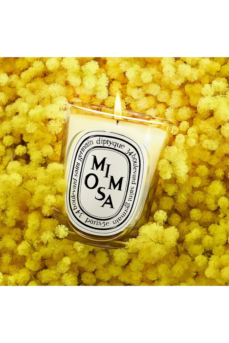 Diptyque Mimosa Classic Candle | Thumbnail 2 Diptyque Mimosa Classic Candle | Thumbnail 2