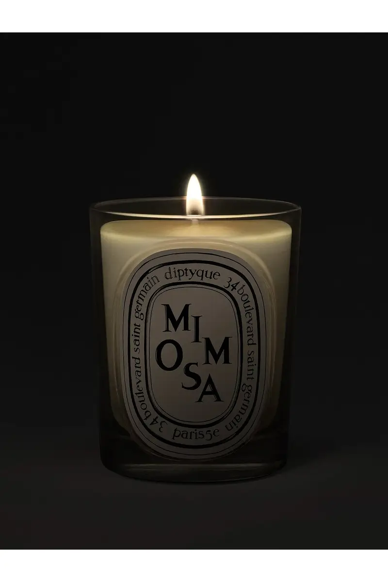 Diptyque Mimosa Classic Candle | Thumbnail 3 Diptyque Mimosa Classic Candle | Thumbnail 3