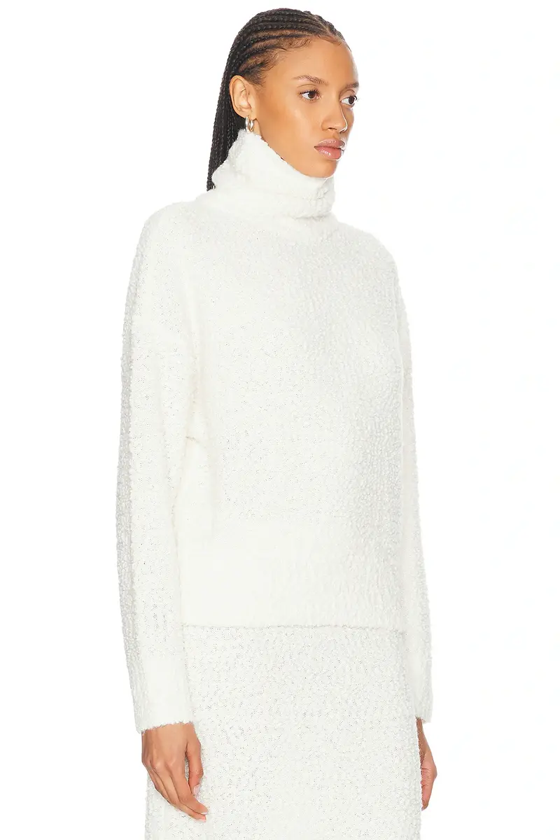 LPA Evan Turtleneck Sweater | Thumbnail 4