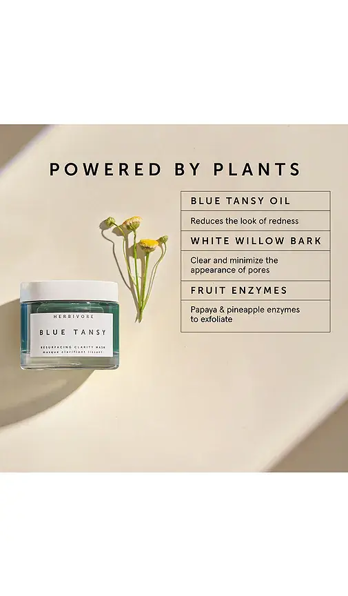 Herbivore Botanicals Blue Tansy Wet Mask | Thumbnail 2 Herbivore Botanicals Blue Tansy Wet Mask | Thumbnail 2
