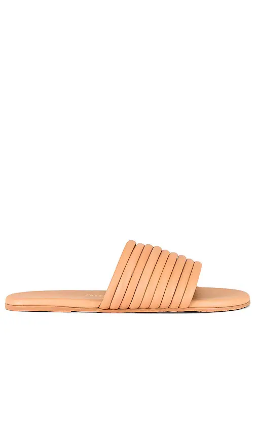 TKEES Caro Sandal | Image 1 TKEES Caro Sandal | Image 1