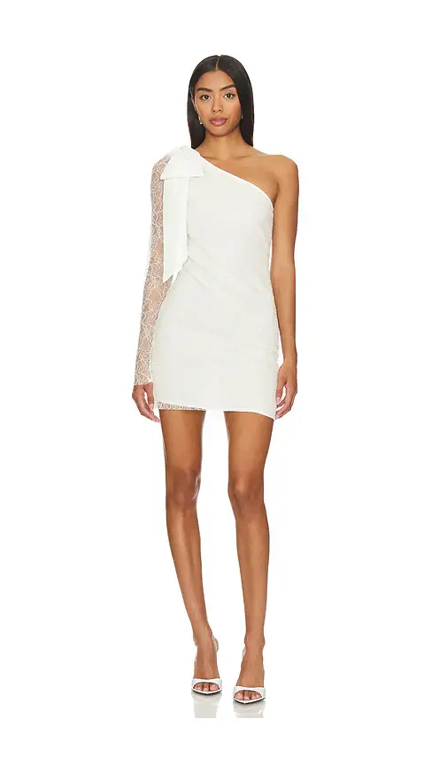 Lovers and Friends Hollyn Mini Dress