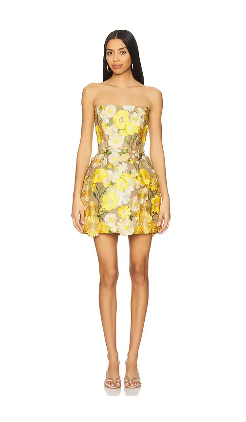 Bronx Banco Jasmine Maraya Mini Dress | Image 1 Bronx Banco Jasmine Maraya Mini Dress | Image 1