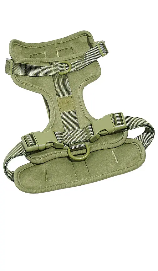 Wild One Harness