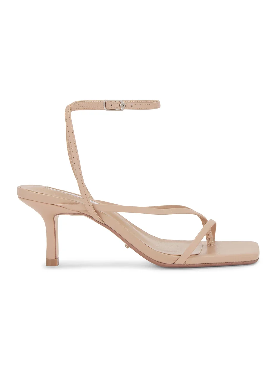 Avi Sandal Avi Sandal