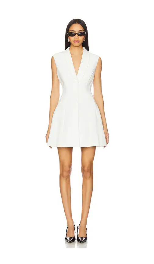 Bardot Destene Hourglass Mini Dress