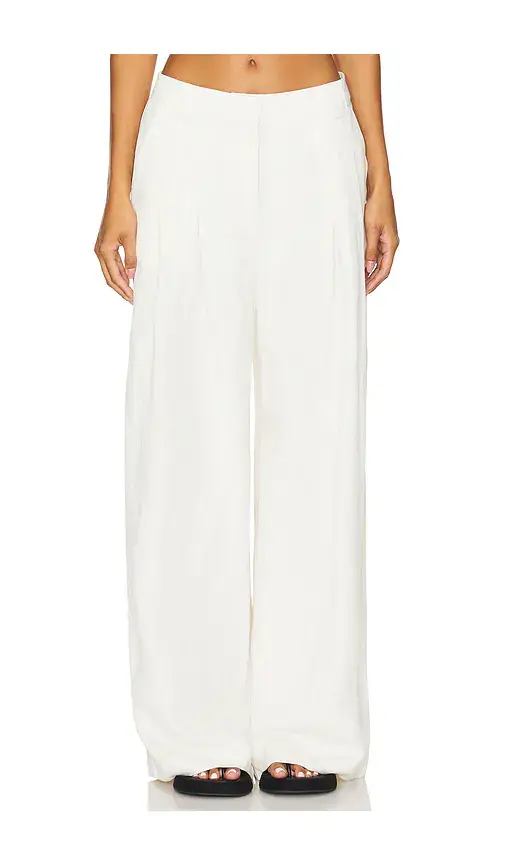 Wide Leg Pleat Pants
