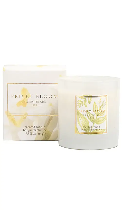 Hampton Sun Privet Bloom Candle | Thumbnail 2 Hampton Sun Privet Bloom Candle | Thumbnail 2