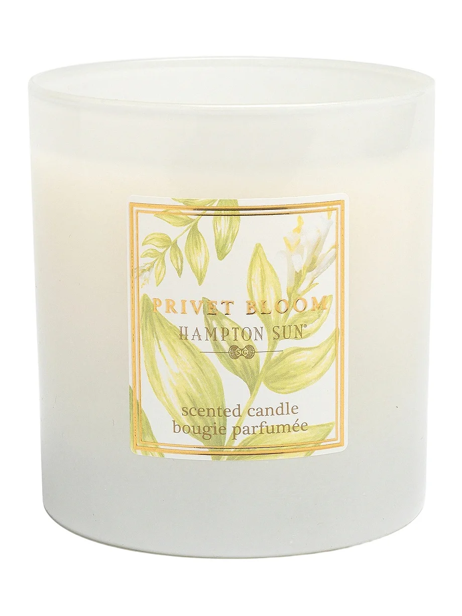 Hampton Sun Privet Bloom Candle