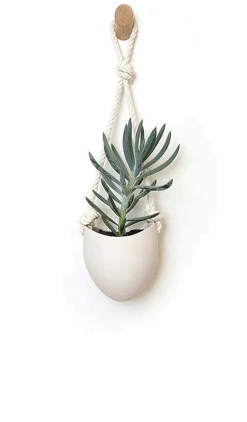 Light + Ladder Light + Ladder Spora Hanging Planter & Maple Hook Set | Thumbnail 2