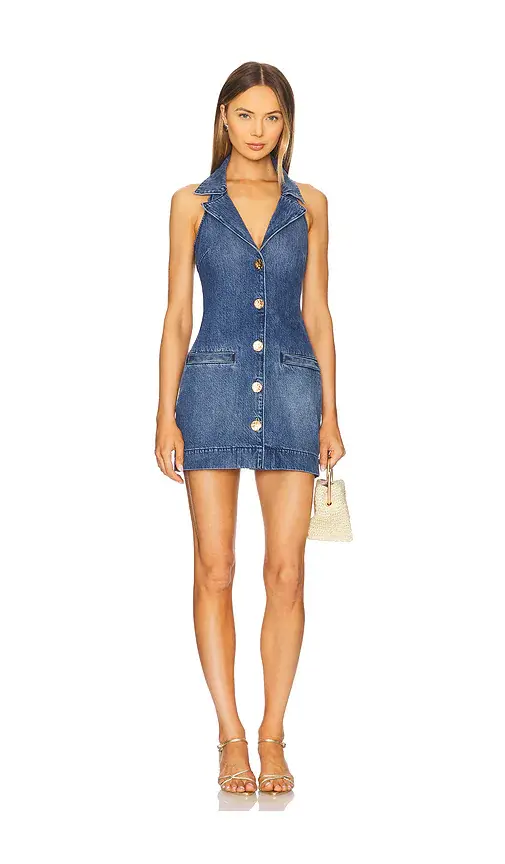 Show Me Your Mumu Darien Dress