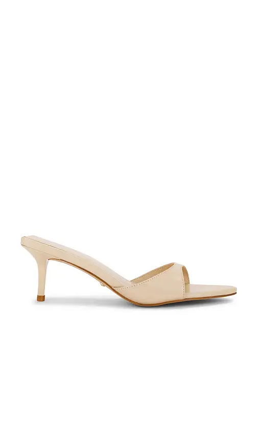 Chad Sandal Chad Sandal