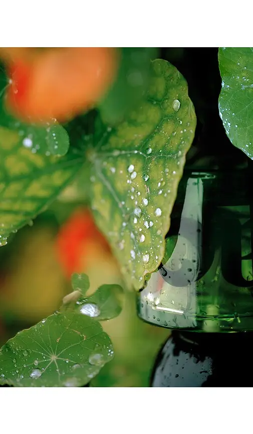 Vyrao I Am Verdant Eau De Parfum | Thumbnail 2 Vyrao I Am Verdant Eau De Parfum | Thumbnail 2