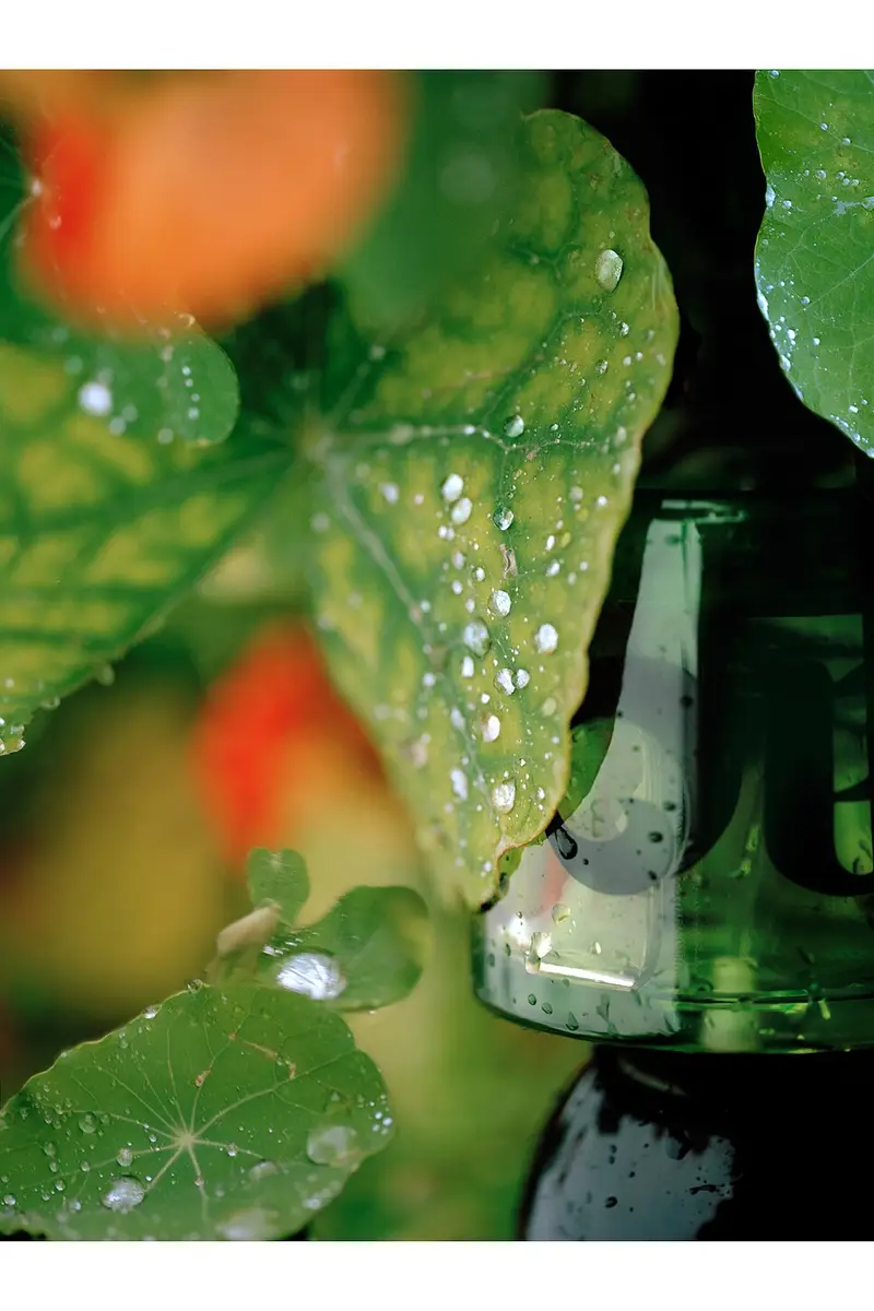 Vyrao I Am Verdant Eau De Parfum | Thumbnail 4 Vyrao I Am Verdant Eau De Parfum | Thumbnail 4