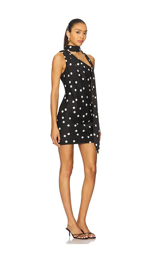 Line & Dot Gloss Scarf Mini Dress | Thumbnail 2
