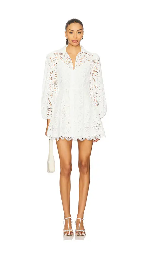 Elliatt Carli Mini Shirtdress