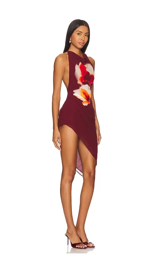 Lovers and Friends Emery Mini Dress | Thumbnail 2 Lovers and Friends Emery Mini Dress | Thumbnail 2