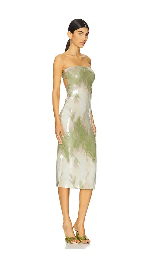 Camila Coelho Alandra Midi Dress | Thumbnail 2 Camila Coelho Alandra Midi Dress | Thumbnail 2