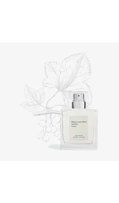 Maison Louis Marie Antidris Cassis Eau de Parfum | Thumbnail 2 Maison Louis Marie Antidris Cassis Eau de Parfum | Thumbnail 2