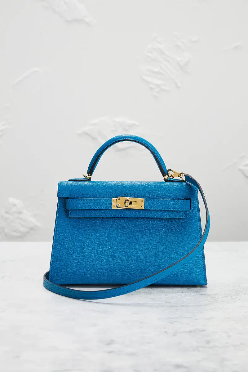 HERMÈS Chevre Kelly 20 Handbag | Thumbnail 4 HERMÈS Chevre Kelly 20 Handbag | Thumbnail 4