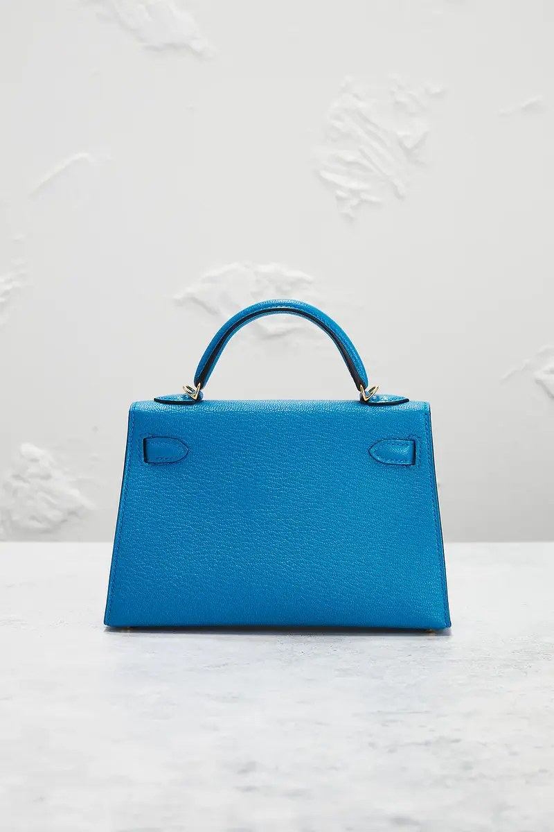 HERMÈS Chevre Kelly 20 Handbag | Thumbnail 5 HERMÈS Chevre Kelly 20 Handbag | Thumbnail 5
