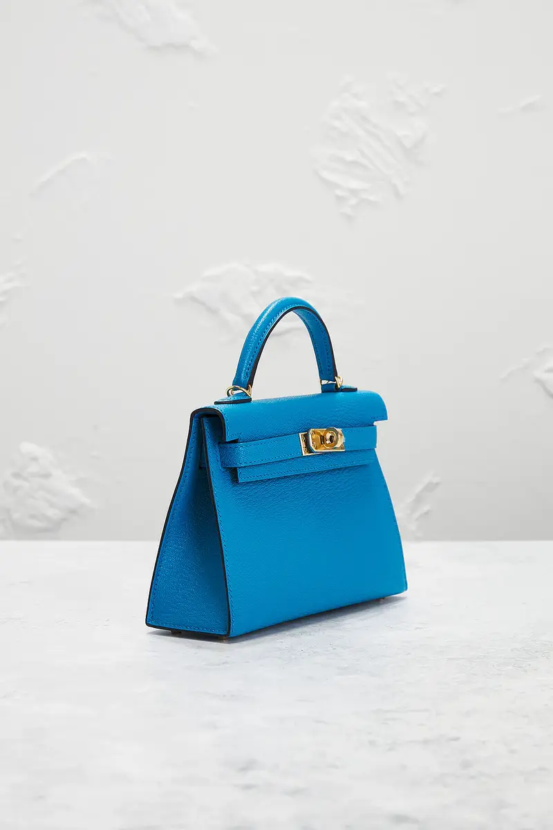 HERMÈS Chevre Kelly 20 Handbag | Thumbnail 6 HERMÈS Chevre Kelly 20 Handbag | Thumbnail 6