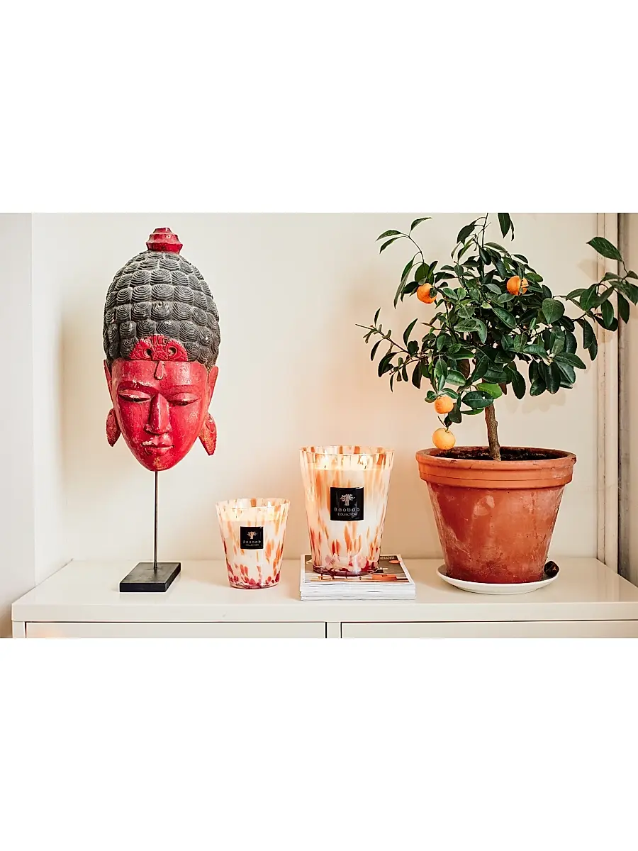 Baobab Pearls Scented Candle | Thumbnail 7 Baobab Pearls Scented Candle | Thumbnail 7