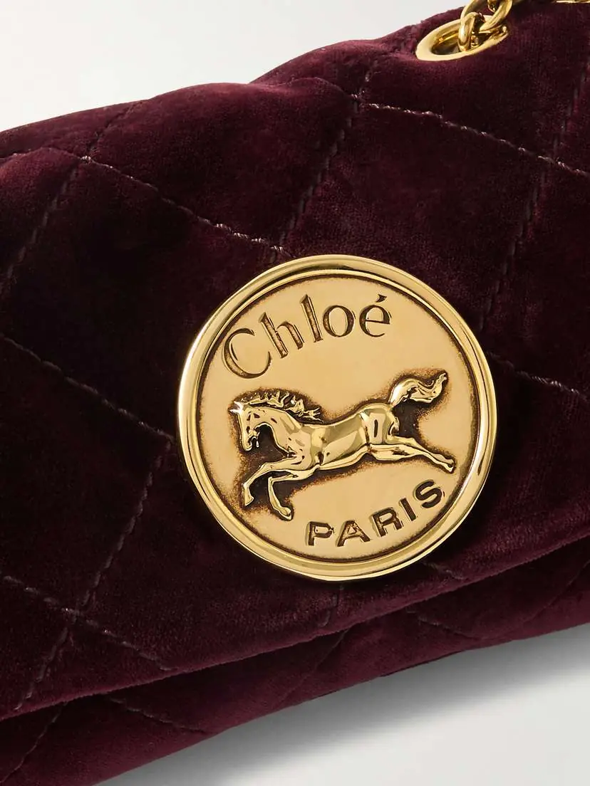 Chloé Heritage Small Embellished Quilted Velvet Shoulder Bag | Thumbnail 4