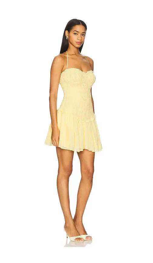 Lovers and Friends Alessia Mini Dress | Thumbnail 2