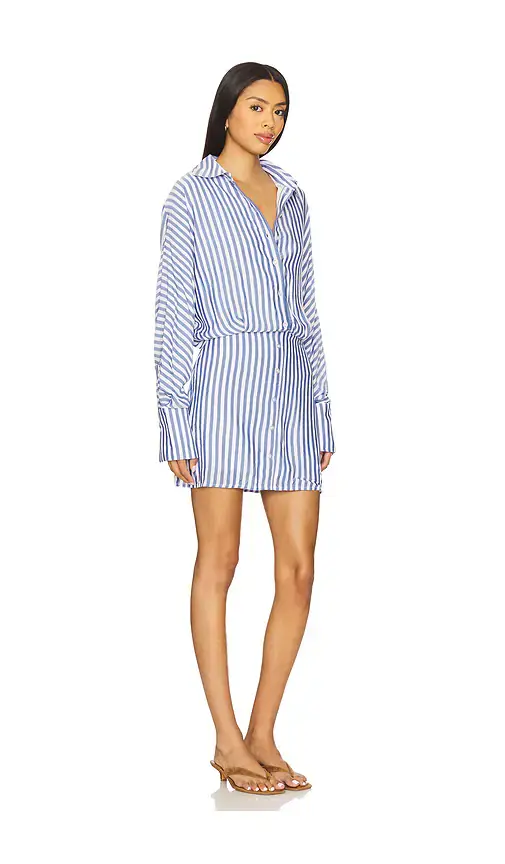 Line & Dot Noah Shirt Dress | Thumbnail 2