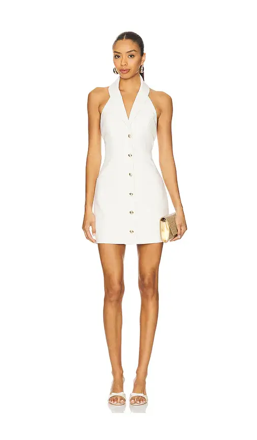 Lovers and Friends Agnes Mini Dress | Image 1 Lovers and Friends Agnes Mini Dress | Image 1