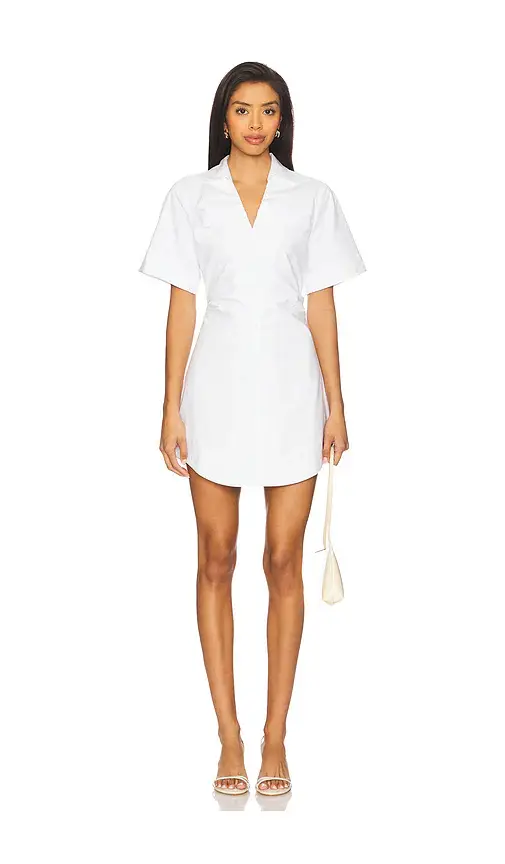 Lovers and Friends Lauren Mini Dress