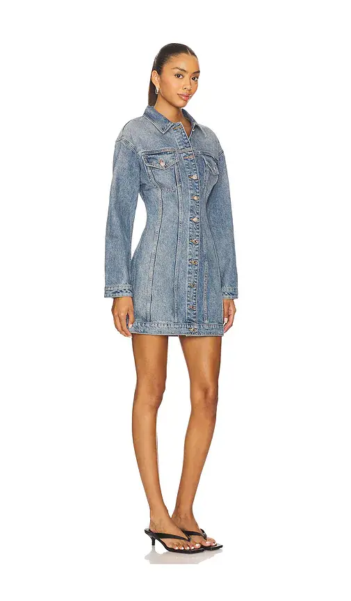 EB Denim Prima Dress | Thumbnail 5