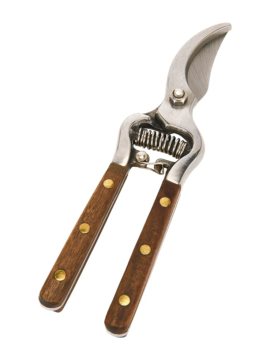 Verve Culture Thai Kitchen & Garden Shears