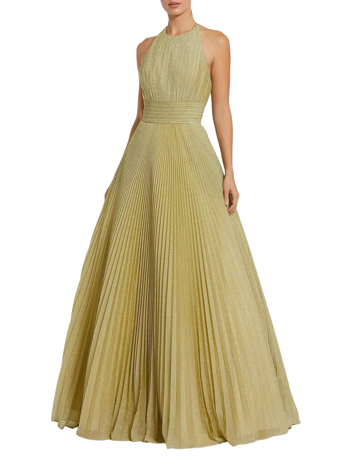 Women's Shimmering Pleated Georgette Gown