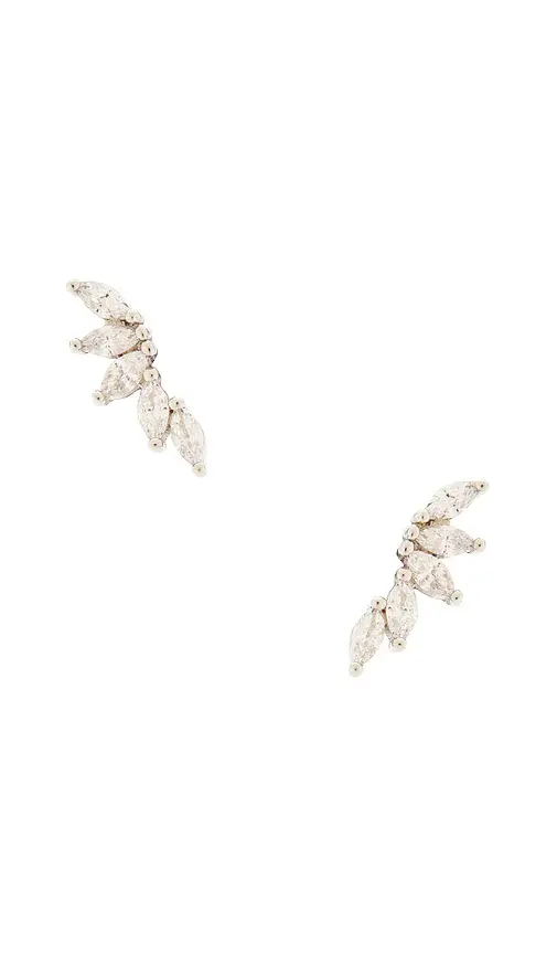 Shashi Fallen Leaf Ear Climber