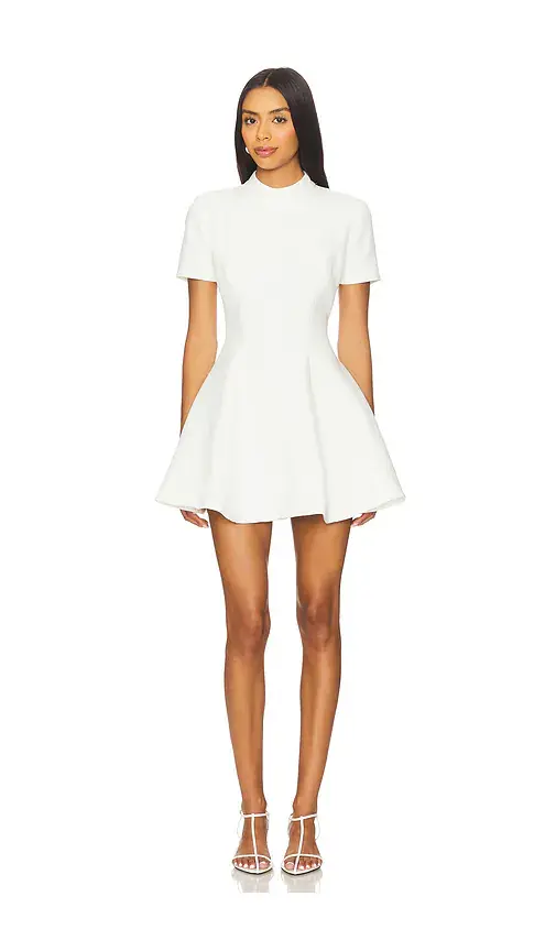 Bardot Zephyra Collar Mini Dress