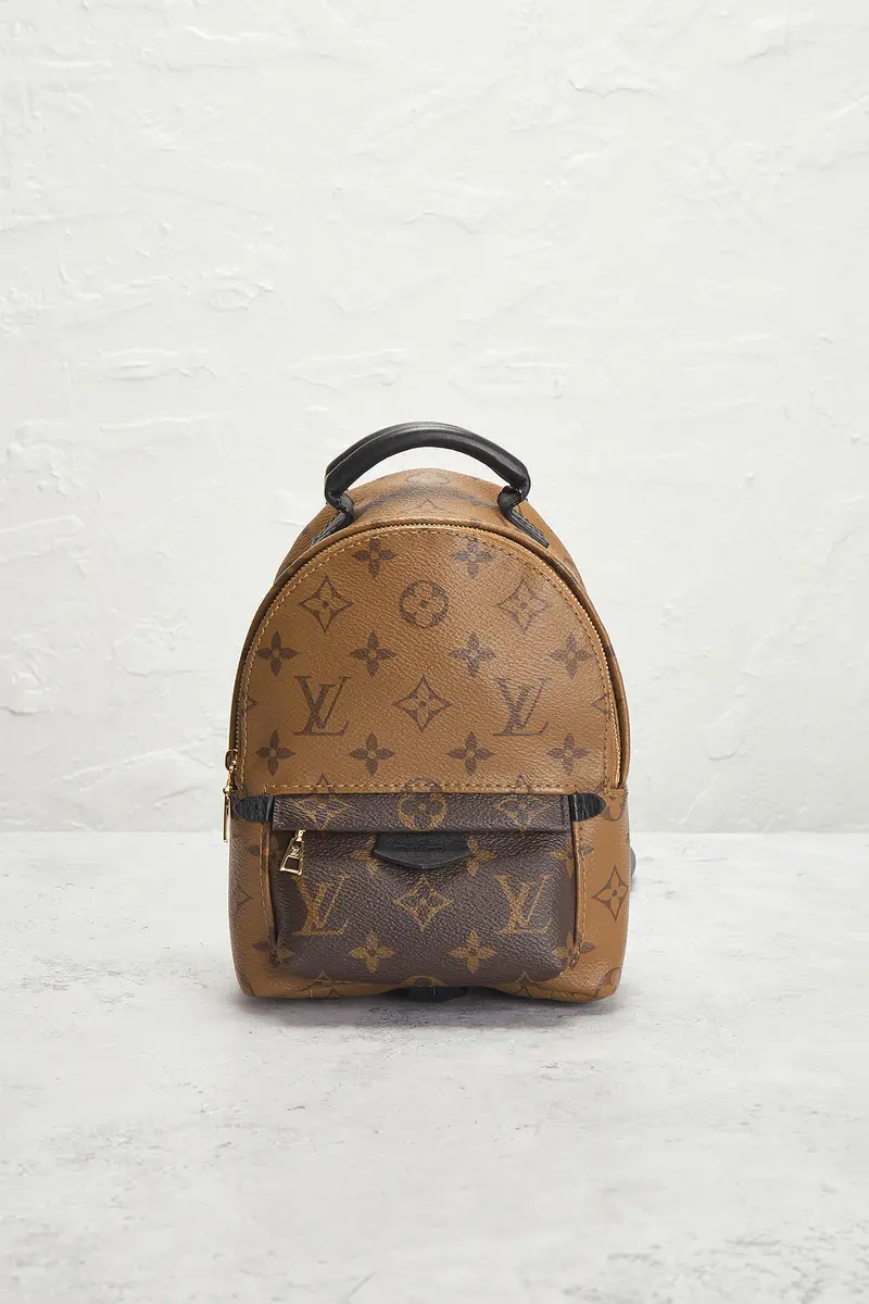 louis vuitton Louis Vuitton Monogram Palm Springs NM Mini Backpack | Thumbnail 4 louis vuitton Louis Vuitton Monogram Palm Springs NM Mini Backpack | Thumbnail 4