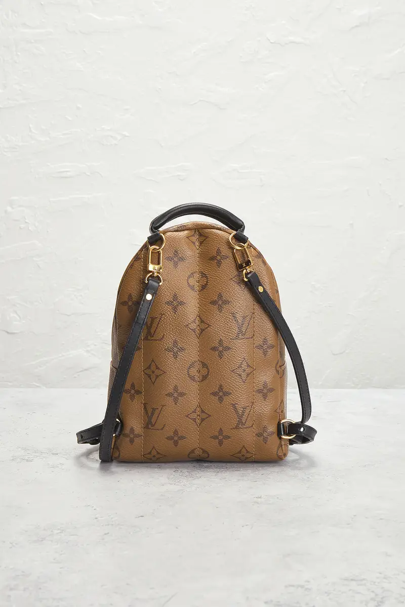 louis vuitton Louis Vuitton Monogram Palm Springs NM Mini Backpack | Thumbnail 5 louis vuitton Louis Vuitton Monogram Palm Springs NM Mini Backpack | Thumbnail 5