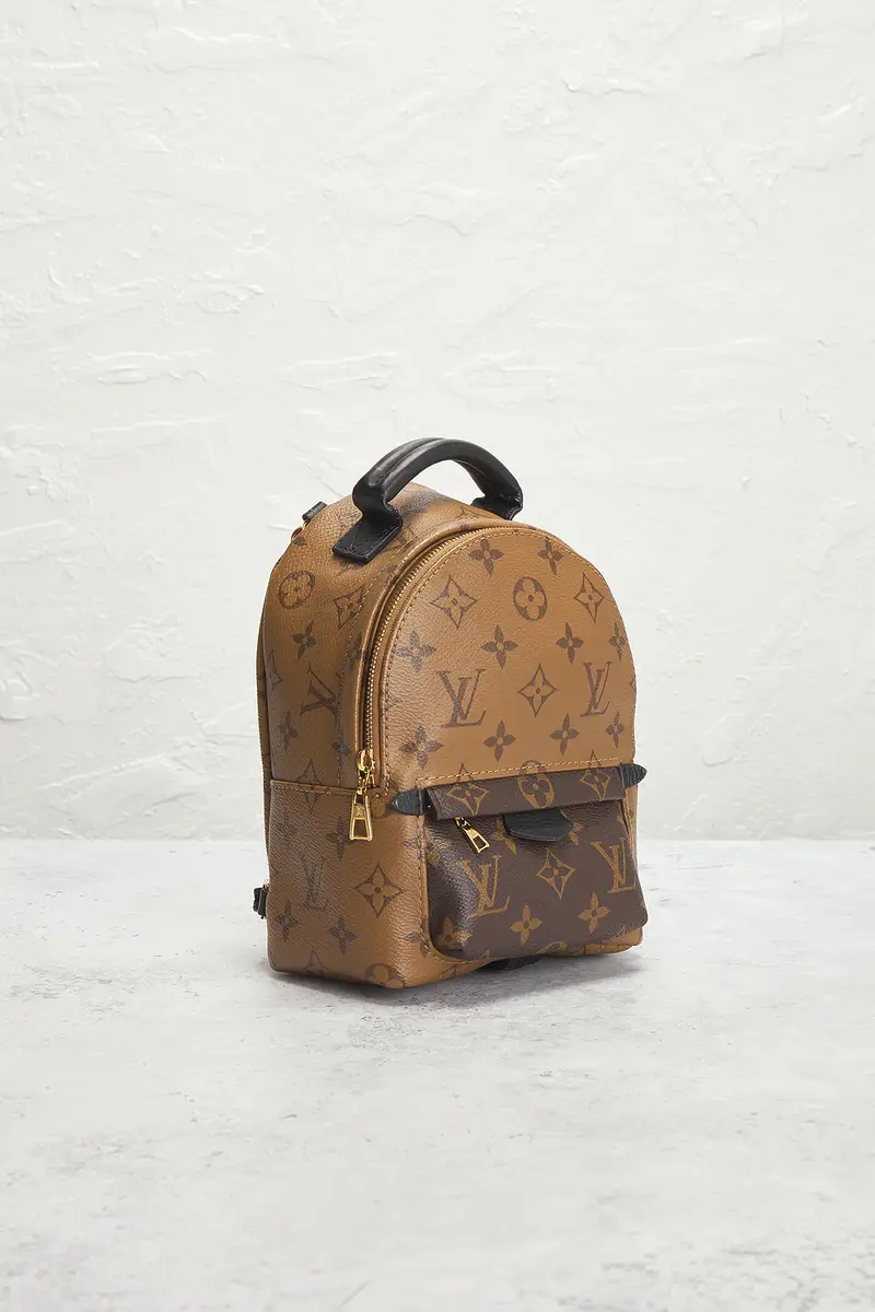 louis vuitton Louis Vuitton Monogram Palm Springs NM Mini Backpack | Thumbnail 6 louis vuitton Louis Vuitton Monogram Palm Springs NM Mini Backpack | Thumbnail 6