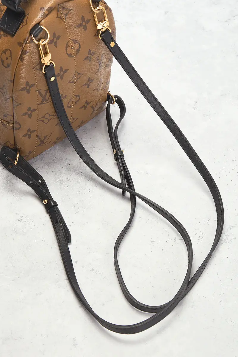 louis vuitton Louis Vuitton Monogram Palm Springs NM Mini Backpack | Thumbnail 9 louis vuitton Louis Vuitton Monogram Palm Springs NM Mini Backpack | Thumbnail 9