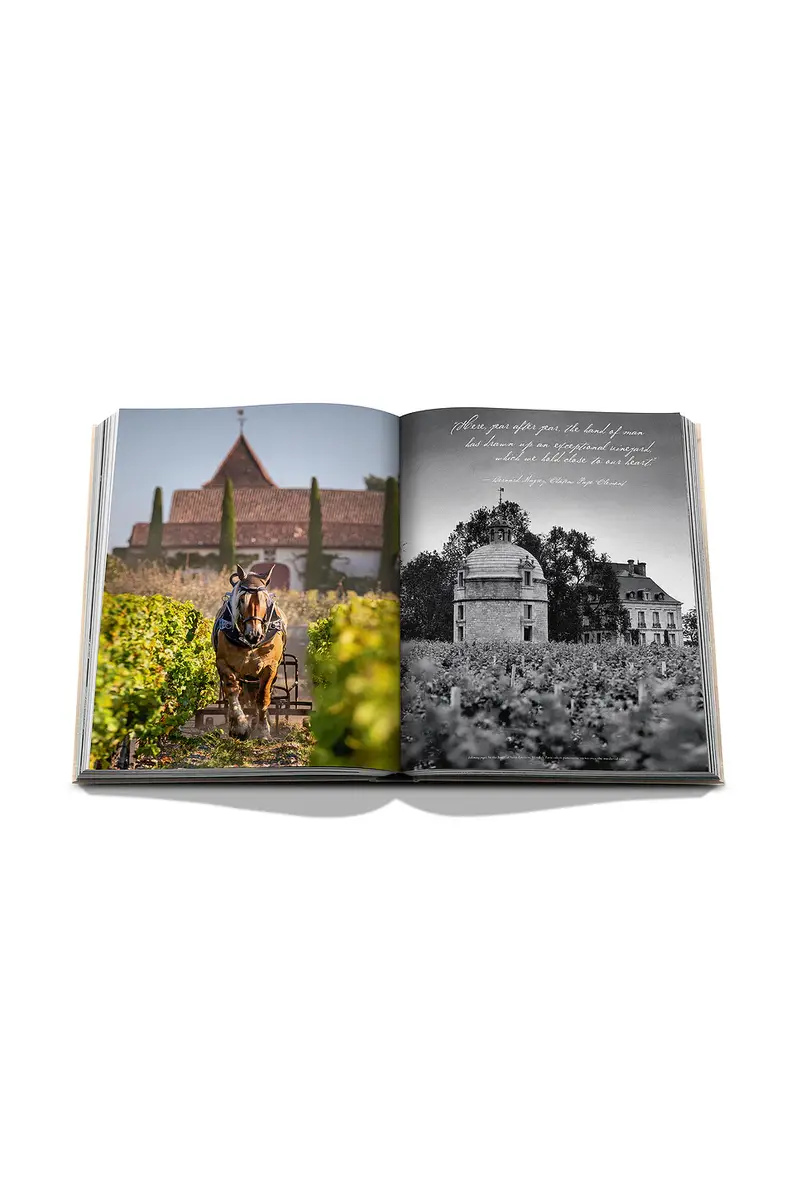 ASSOULINE Wine & Travel France | Thumbnail 7
