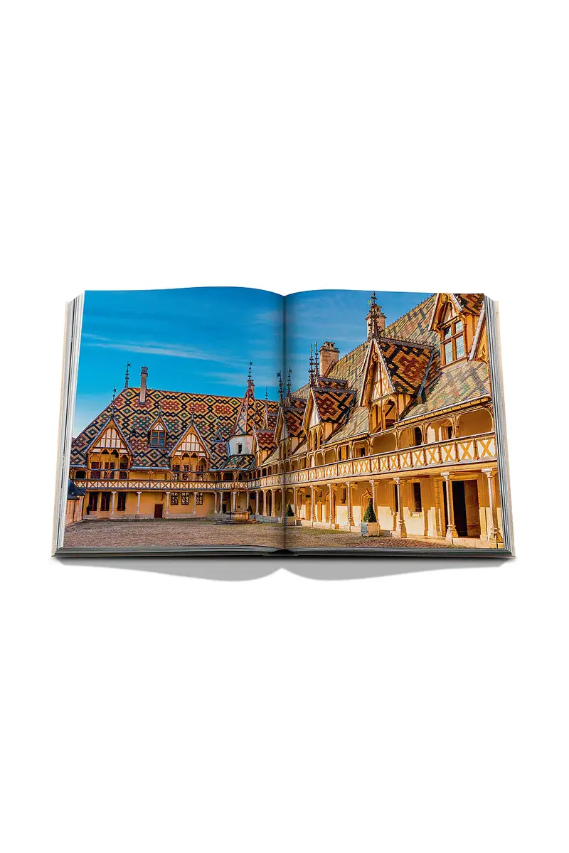 ASSOULINE Wine & Travel France | Thumbnail 9
