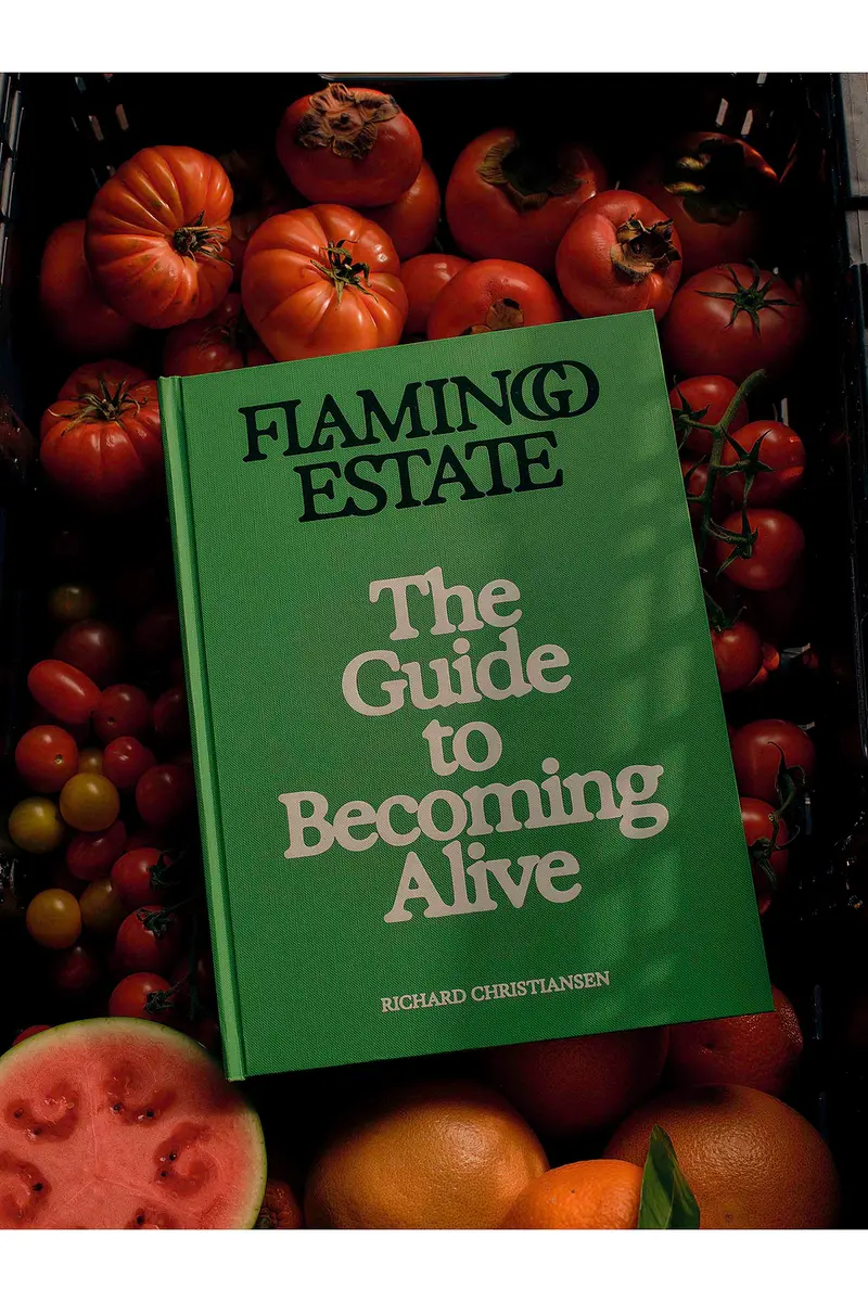 Flamingo Estate The Guide To Becoming Alive | Thumbnail 2 Flamingo Estate The Guide To Becoming Alive | Thumbnail 2