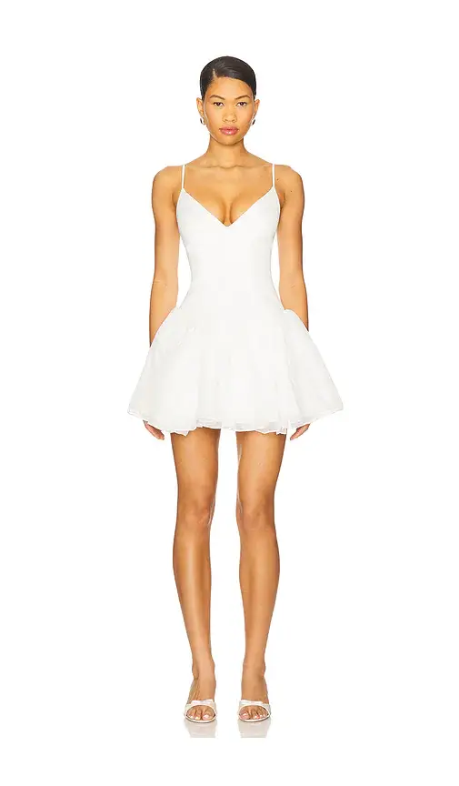 Lovers and Friends Brielle Mini Dress