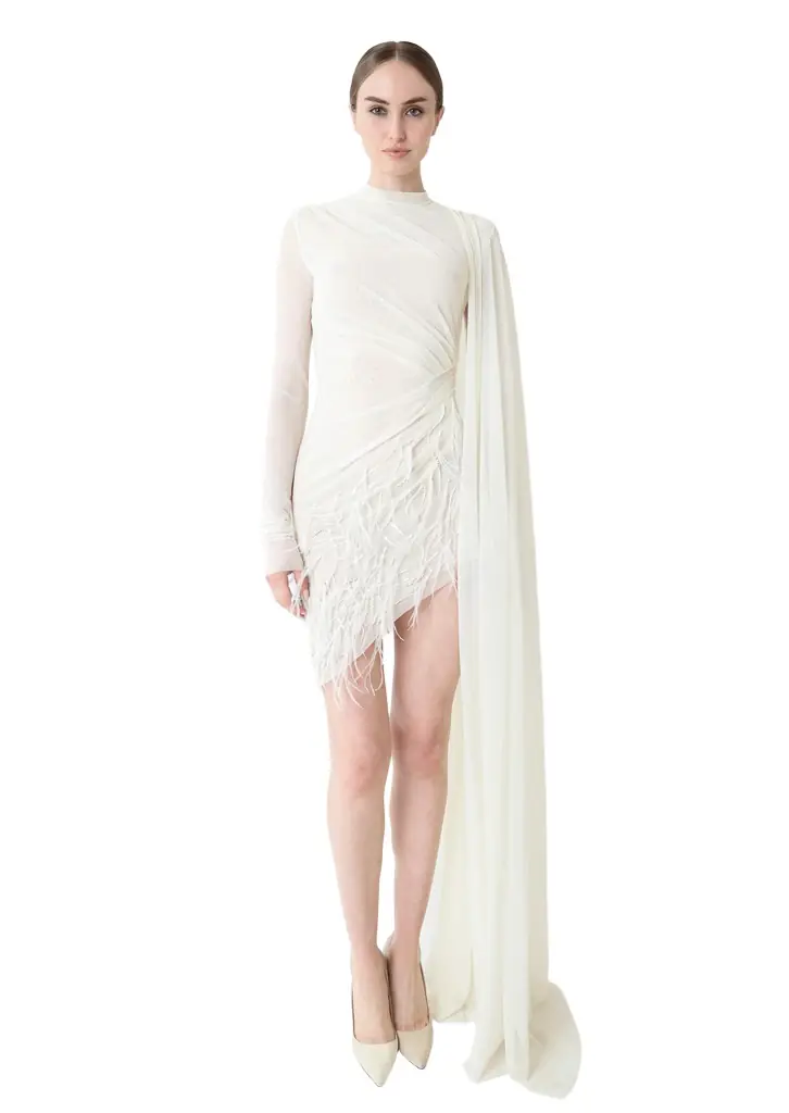 Mesh High Neck Cape Dress With Feathers