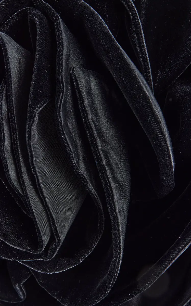 Carolina Herrera Flower-Detailed Velvet Top | Thumbnail 7 Carolina Herrera Flower-Detailed Velvet Top | Thumbnail 7