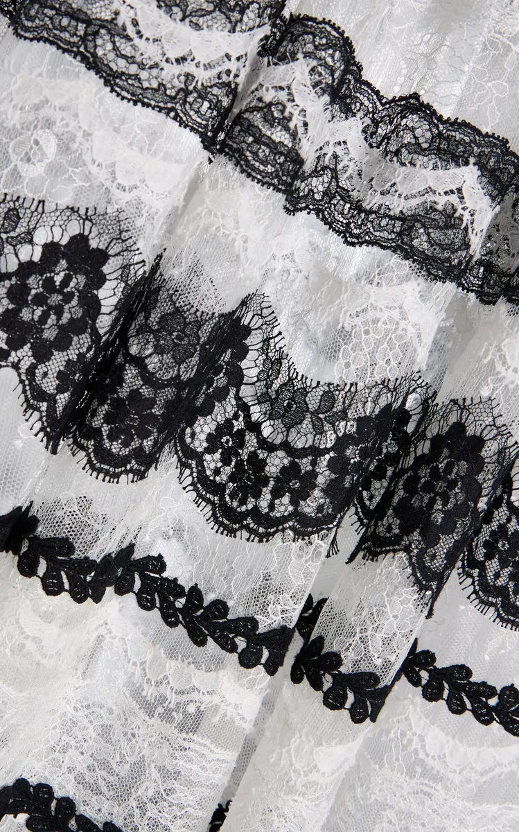 Carolina Herrera Lace-Detailed Maxi Skirt | Thumbnail 7 Carolina Herrera Lace-Detailed Maxi Skirt | Thumbnail 7