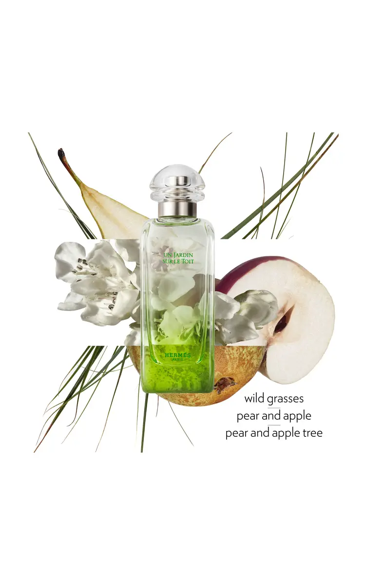 Hermès Beauty Un Jardin Sur Le Toit Eau de Toilette | Thumbnail 3 Hermès Beauty Un Jardin Sur Le Toit Eau de Toilette | Thumbnail 3